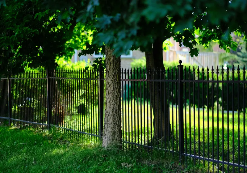 Black ornamental metal fence with picket tops along a shaded front yard