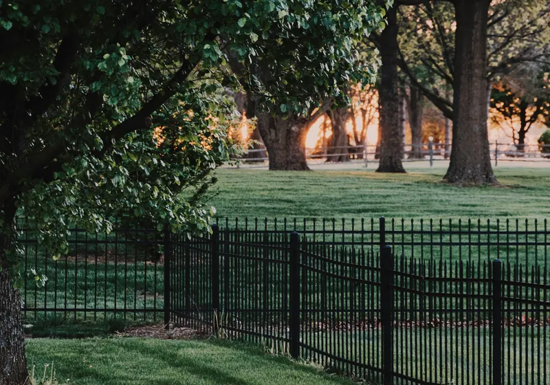 Black aluminum ornamental fence with picket tops running across a shaded front lawn under large oak trees