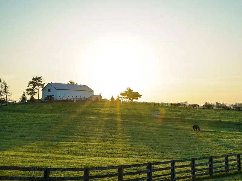 Wood board fence along a green pasture with a white farmhouse and trees on the horizon at sunrise