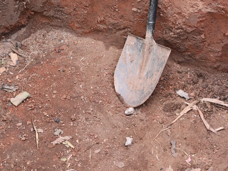 Shovel standing in a freshly dug hole in red clay soil, with cut roots and small rocks in the spoil