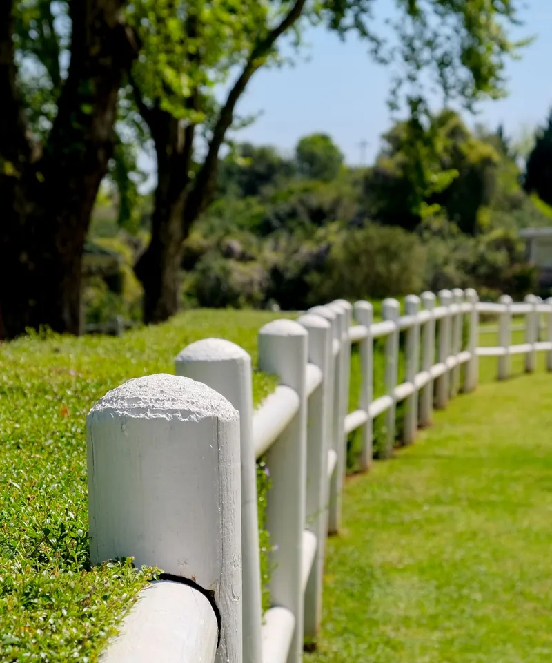 White painted post-and-rail fence curving along a mowed green lawn under tall shade trees